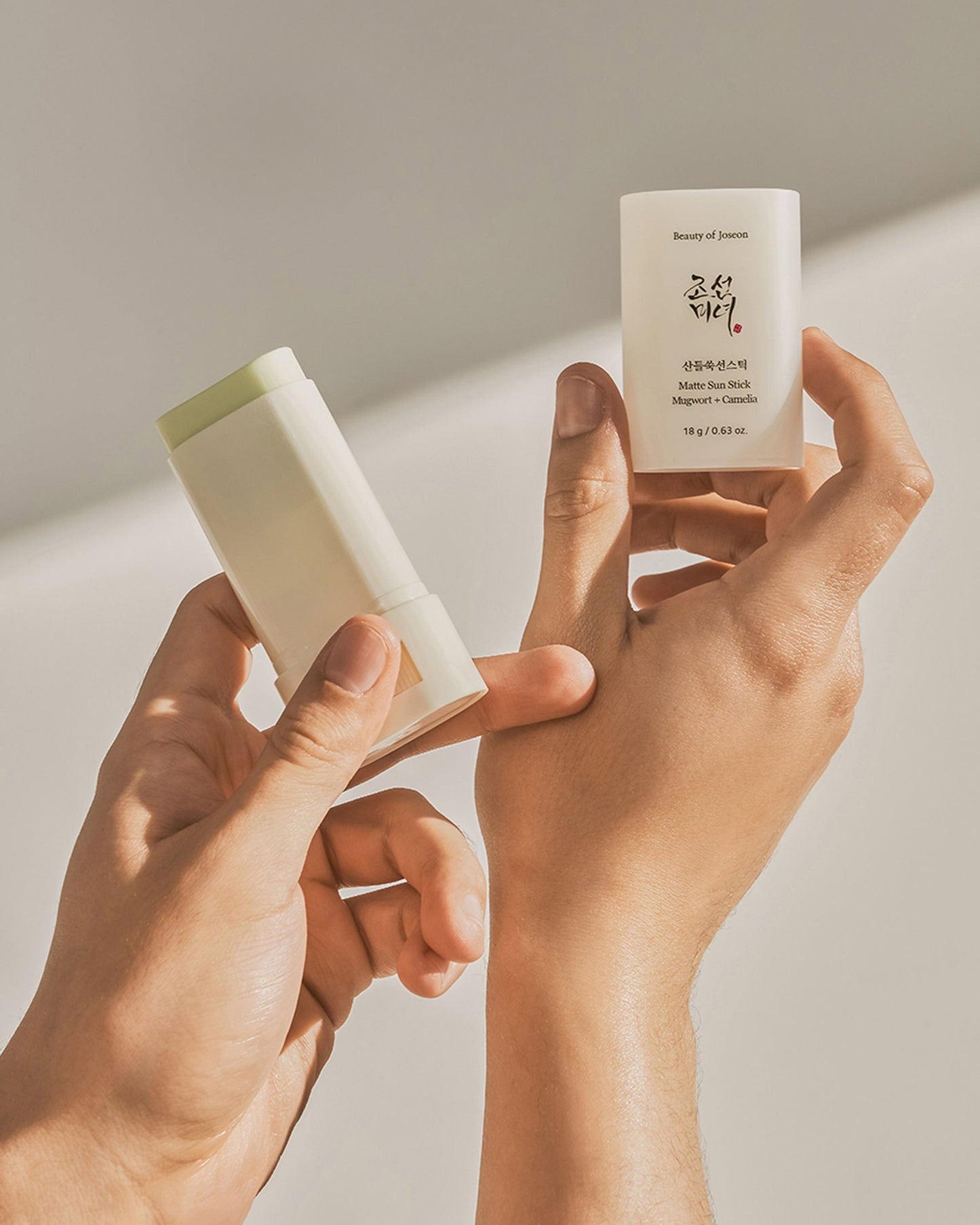 Beauty of Joseon Matte Sun Stick: Mugwort+Camelia - High Protection (SPF 50+ PA++++) esBeauty